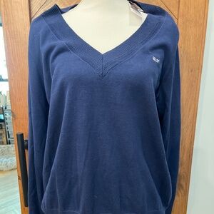 Navy Blue V-Neck Sweater